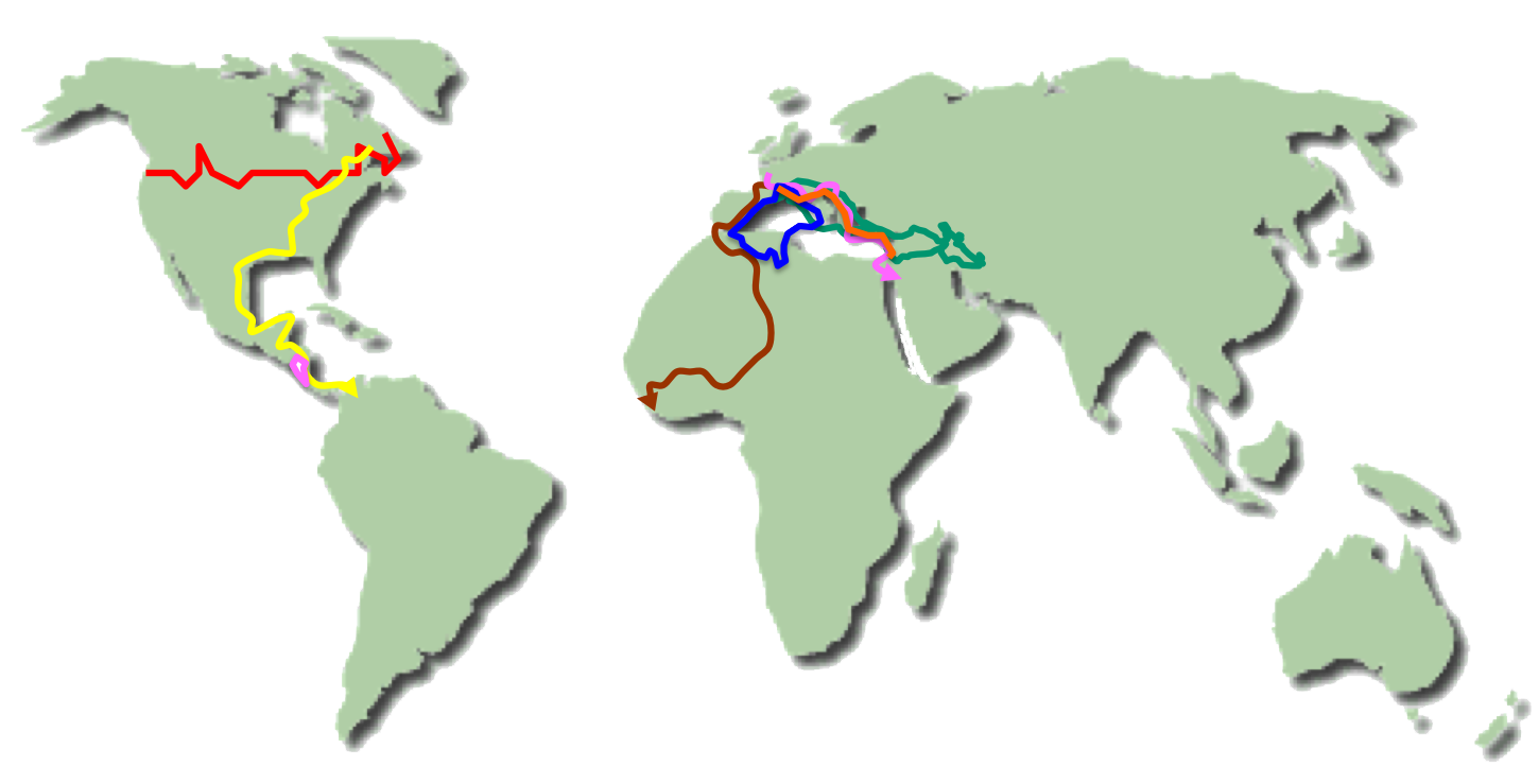 Map voyages 2017 ajouré