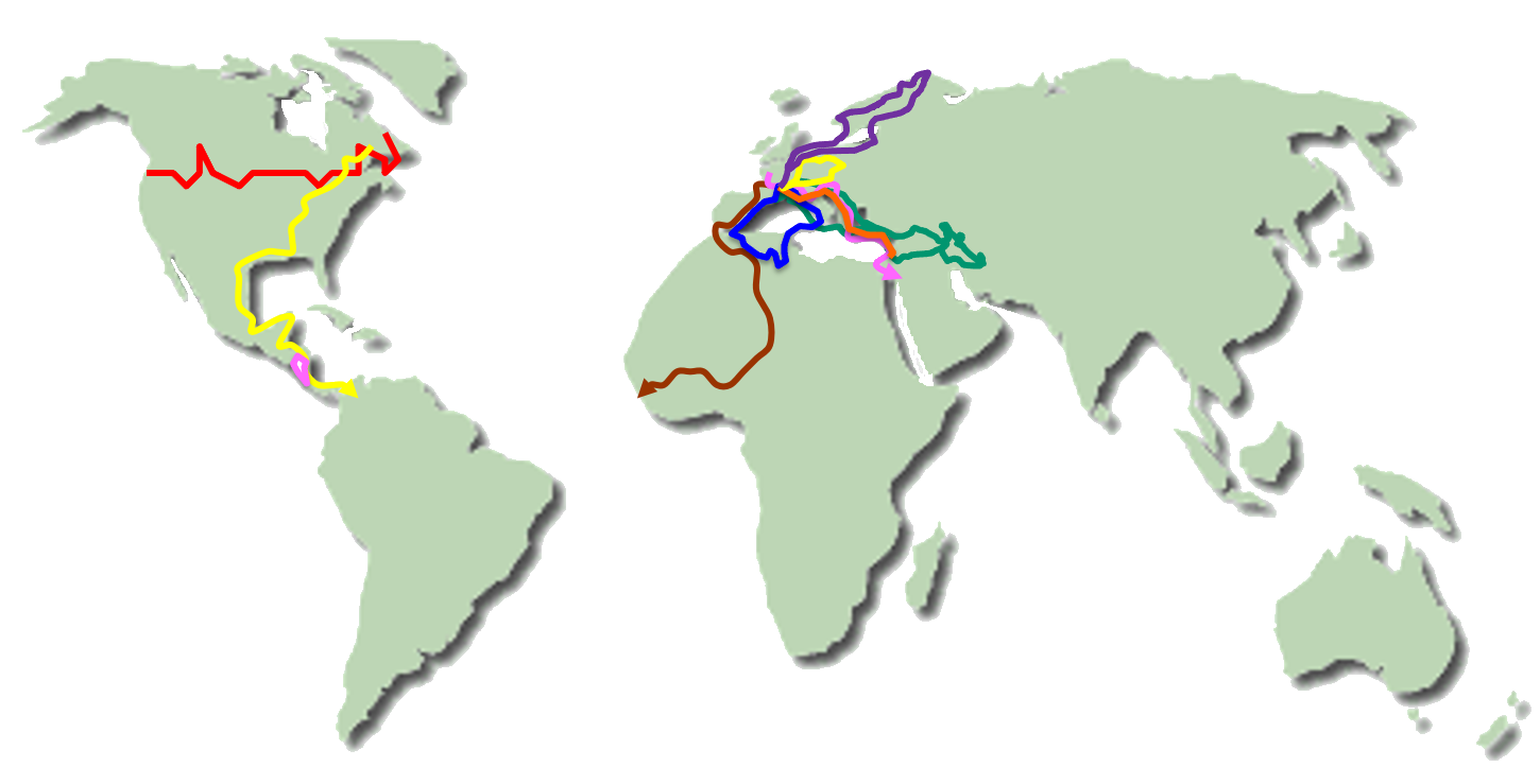 Map voyages 2024 ajouré