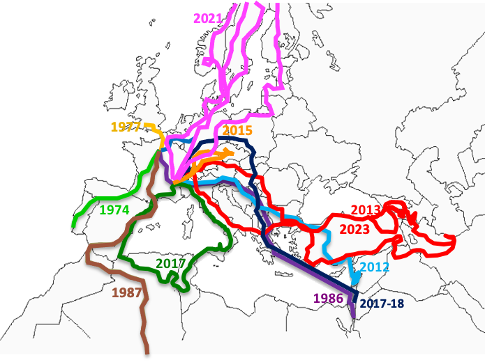 europe afrique